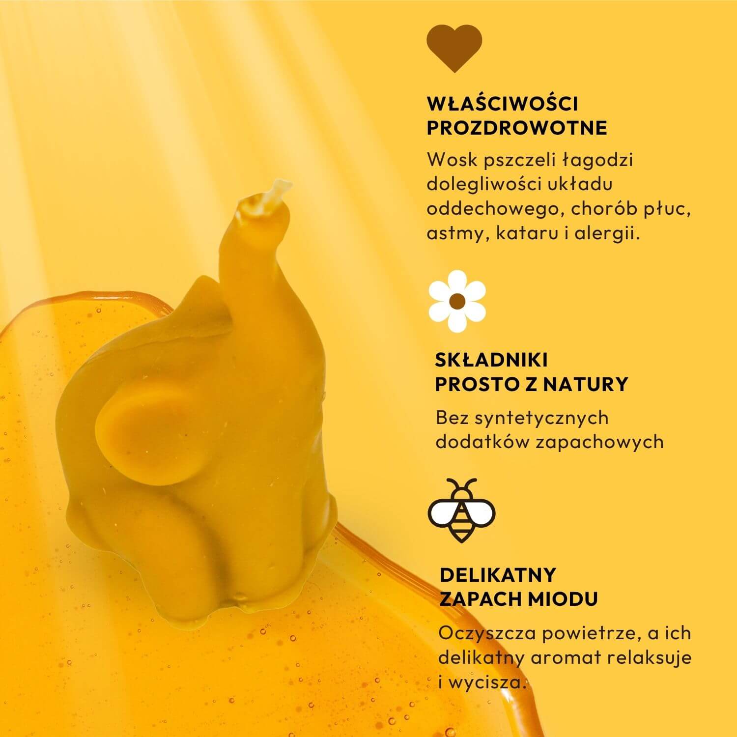 Świeca Słoń Trąbalski - obrazek 7