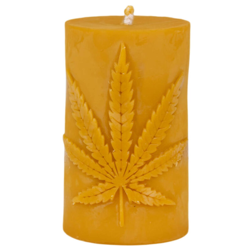 Świeca Walec z Liściem Konopi