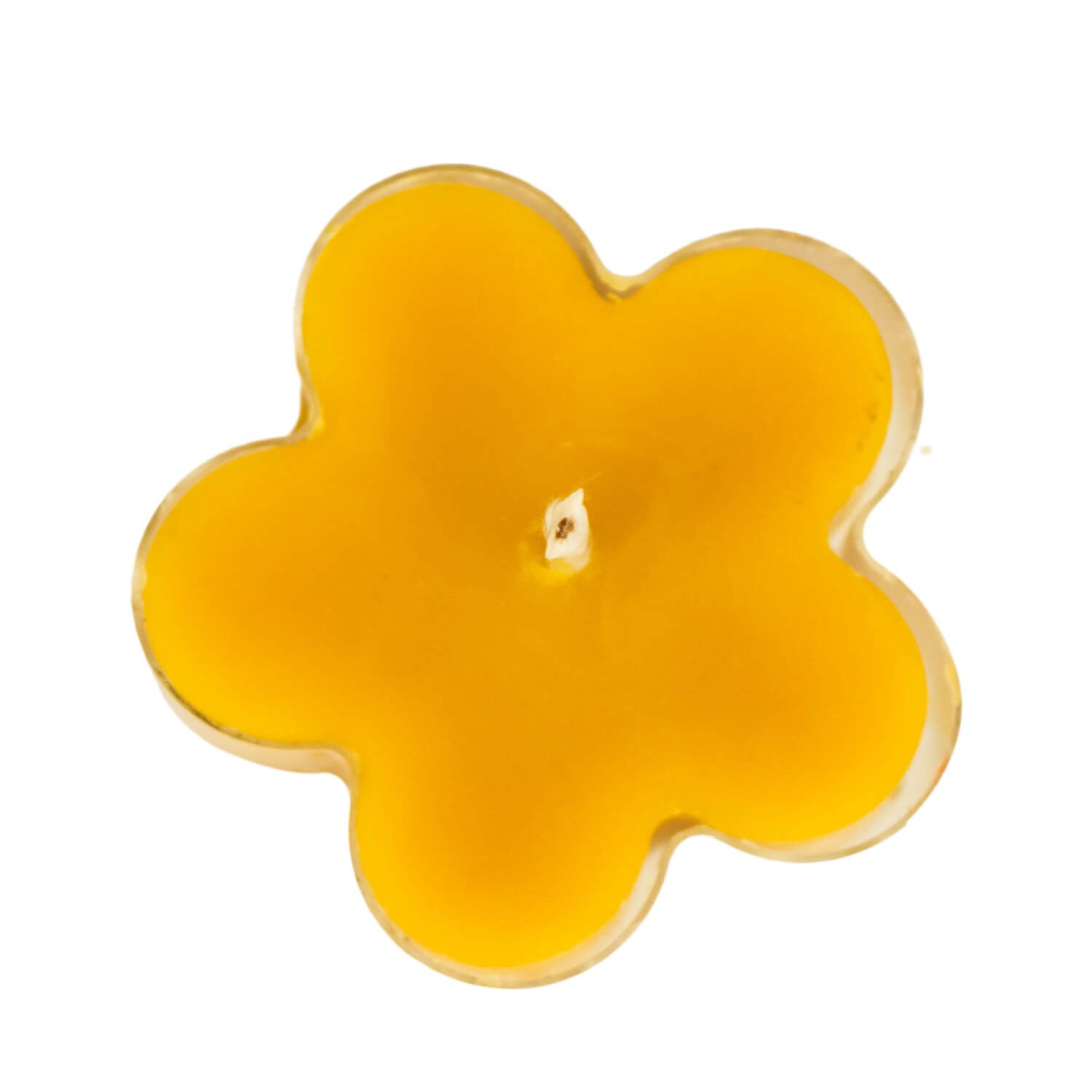 Podgrzewacz Tealight Stokrotka w Plastikowym Pojemniku